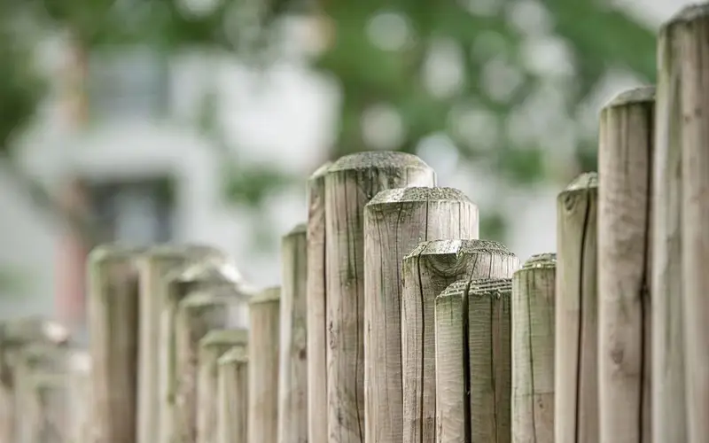 New wooden fence panels along a back garden boundary