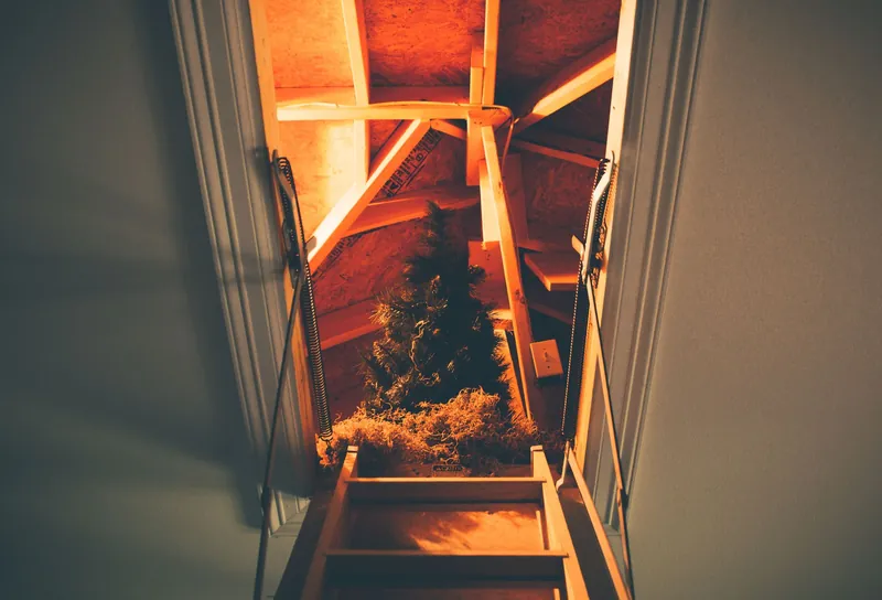 Loft ladder leading up into an attic roof space