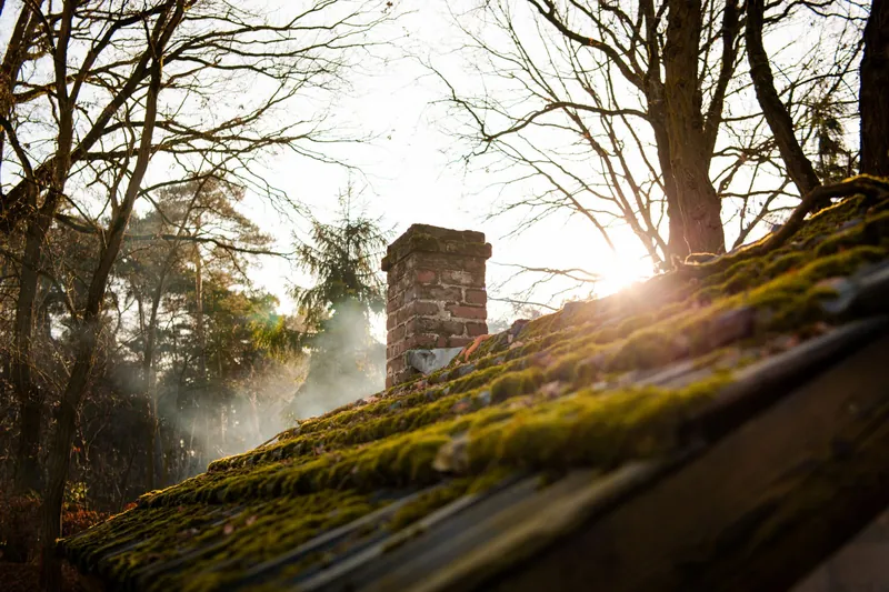 Moss-covered roof tiles and a brick chimney in low sunlight